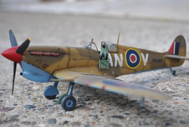 Spitfire Mk V B Trop - 1/48e Maquet16