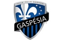 Gaspésia- Projet de Faction Logo_g11