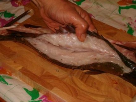 Comment faire des filets de poisson 5-10-b10