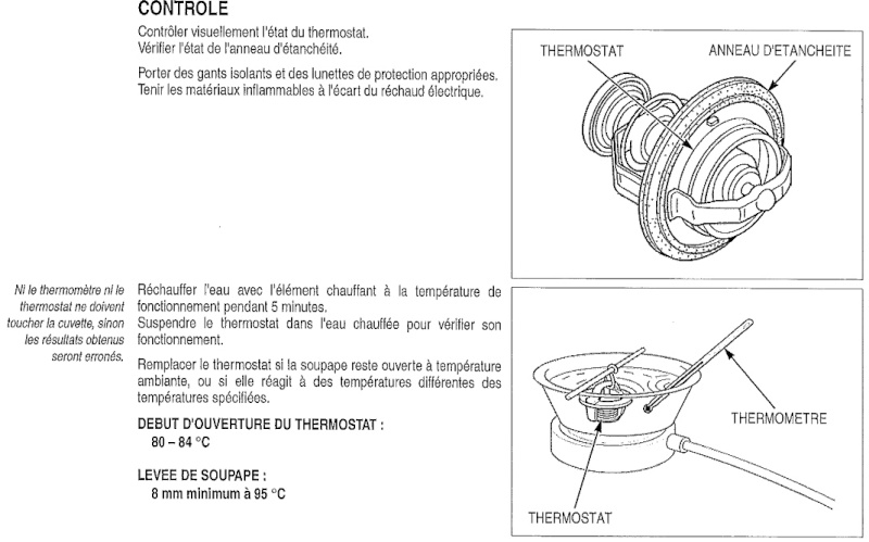 Ventilateur de radiateur et sonde de température Thermo11