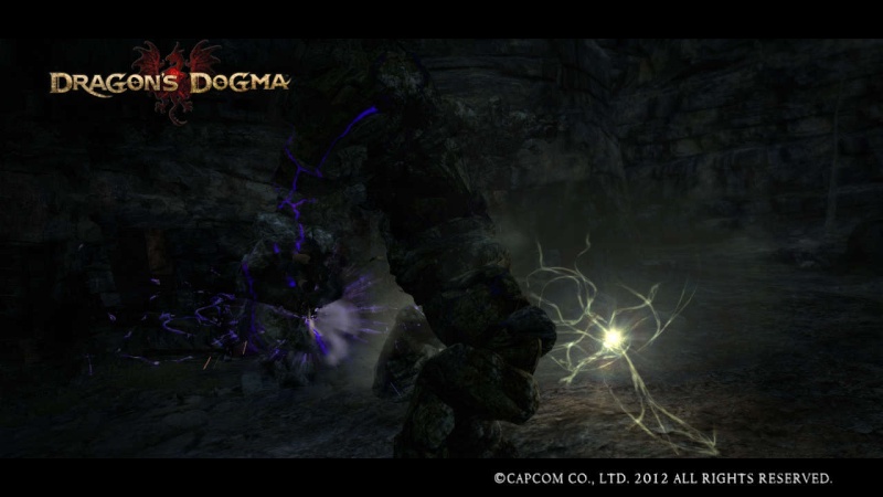 Dragons Dogma  (Pic`s & tips) - Page 6 Dragon12