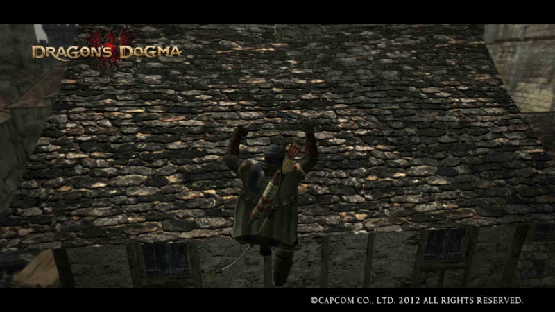 Dragons Dogma  (Pic`s & tips) - Page 8 Dragon17