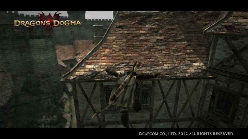 Dragons Dogma  (Pic`s & tips) - Page 8 Dragon18