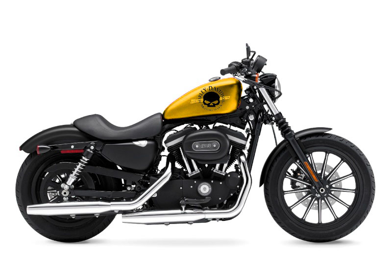 883 IRON IRONEER Harley10
