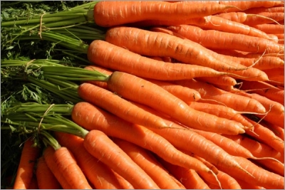 notre bonne carotte :) Carott11