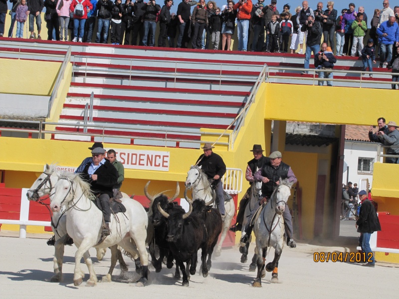 Bouger en Camargue en Avril 2012 St_mar10