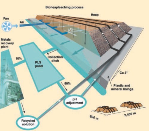 BioHeapLeaching Process Biolea10