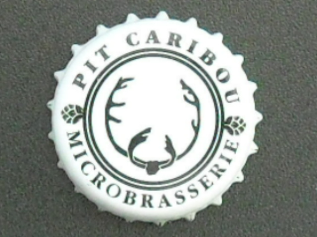 Pit Caribou Rscn6025
