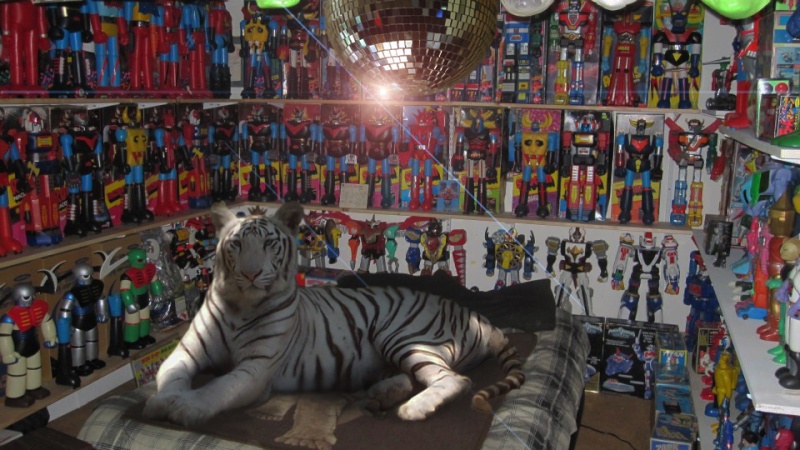 che bella stanza Tigre10