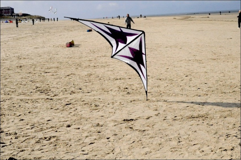 Nouveau kite de freestyle radical de Drôle d'Oiseau - Page 8 Berck210