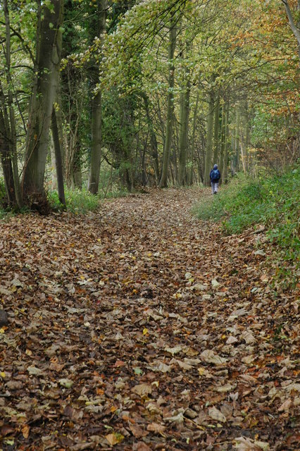 Wandelpad uitlopend op een meertje Ww10