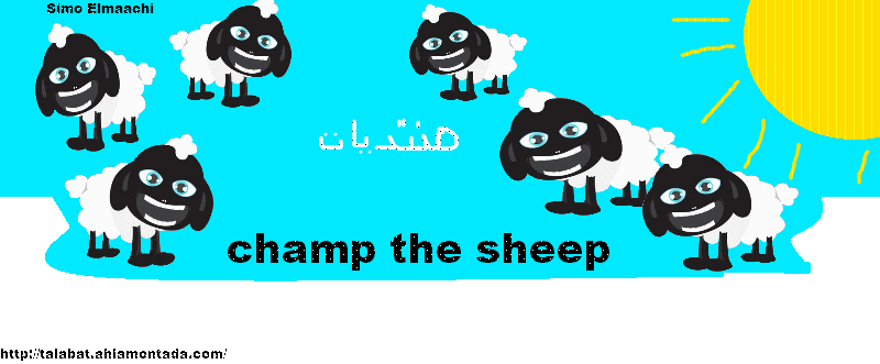 واجهة champ the sheep من تصميمي Champ_10