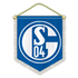 SCHALKE 04