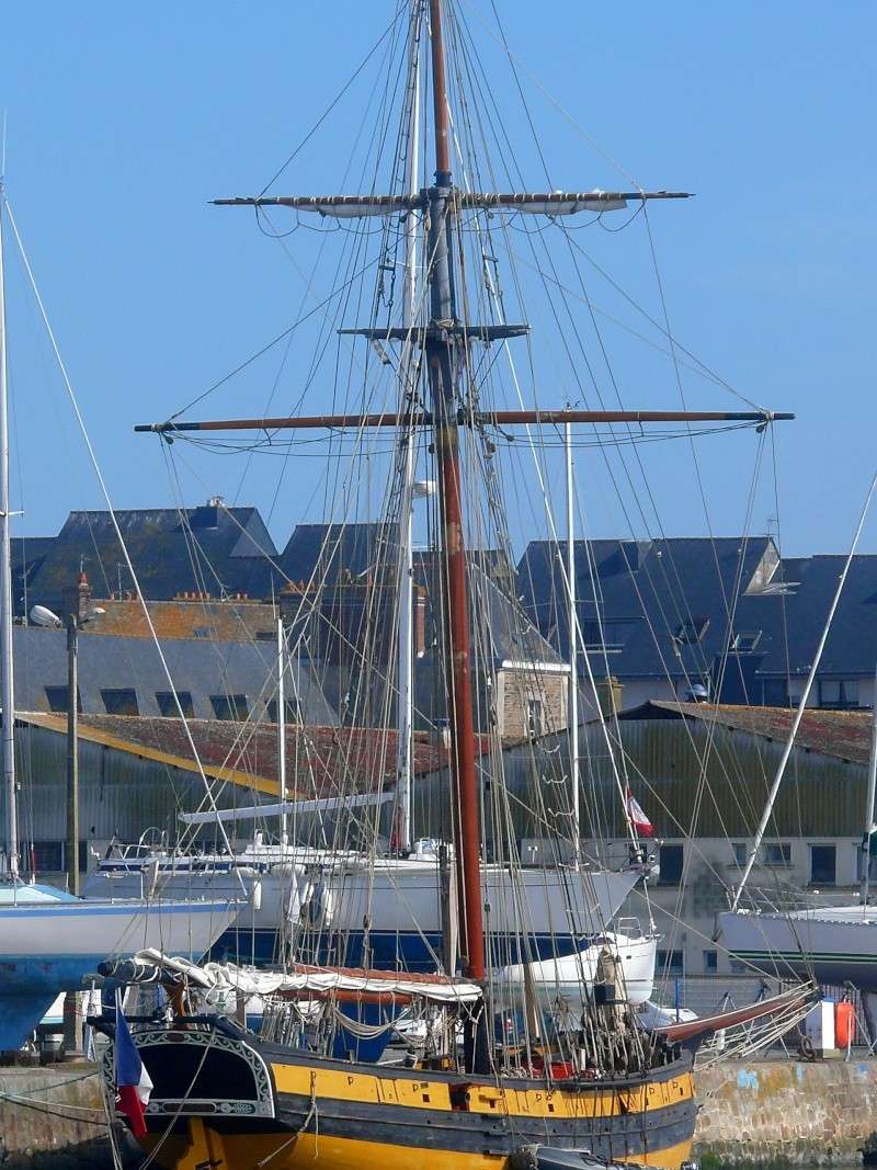 [FRANCE] Cotre corsaire RENARD (Saint Malo) Le_ren67