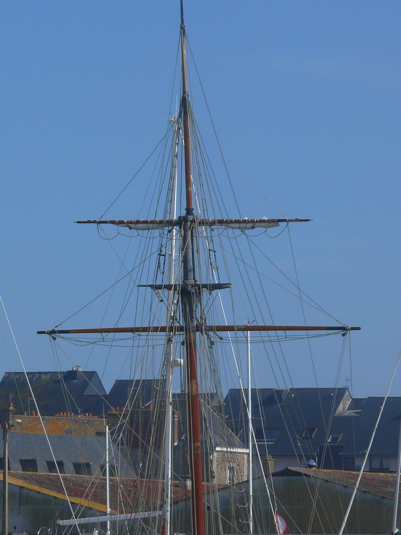 [FRANCE] Cotre corsaire RENARD (Saint Malo) Le_ren89