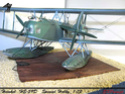 [Special Hobby] 1/72 - Heinkel He 59 D   (he59) 510