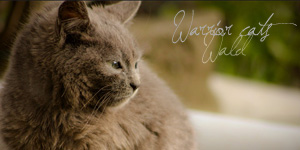 Warrior cats Wald Wacdfd10
