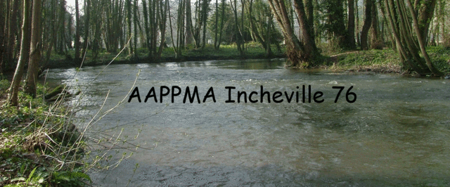 AAPPMA Incheville 76