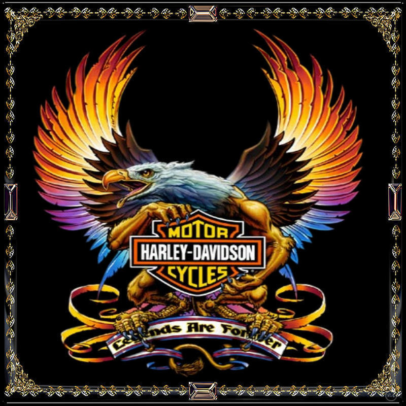 Site Internet < HD-LA Harley11