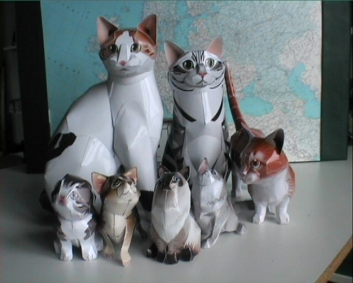 Die Katzenfamilie vom Creative Park Katze010