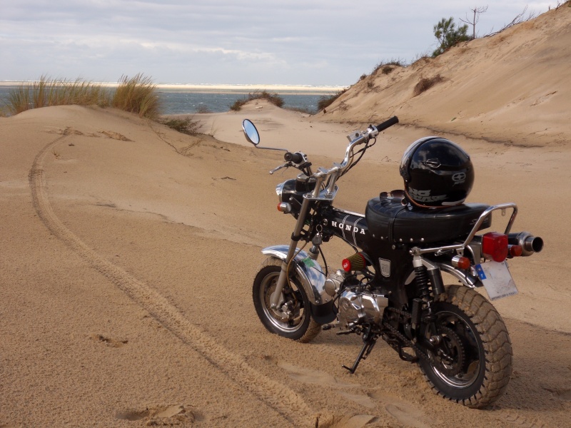 "TheBlackDax"  --->  (Photos ET VIDÉO - Trails & Dunes) Sdc10527