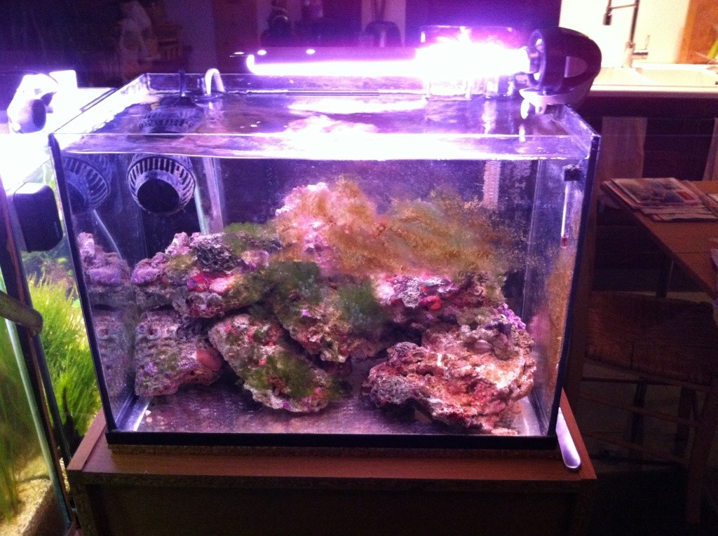 15l l Img_0825