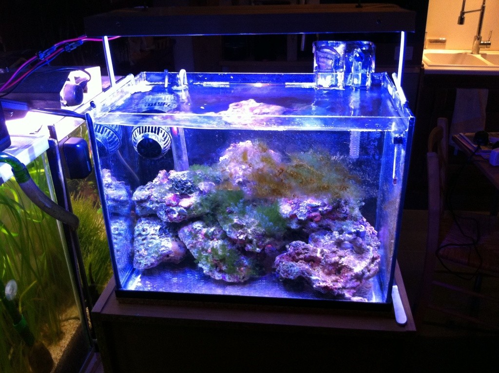 15l l Img_0828