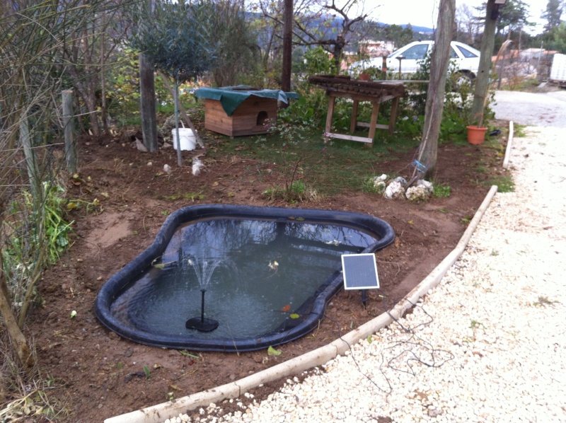 création bassin 1000 litres en image Iphone13