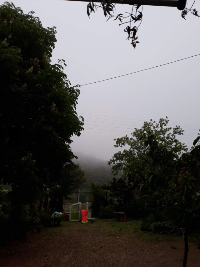 Météo - Page 37 12662910