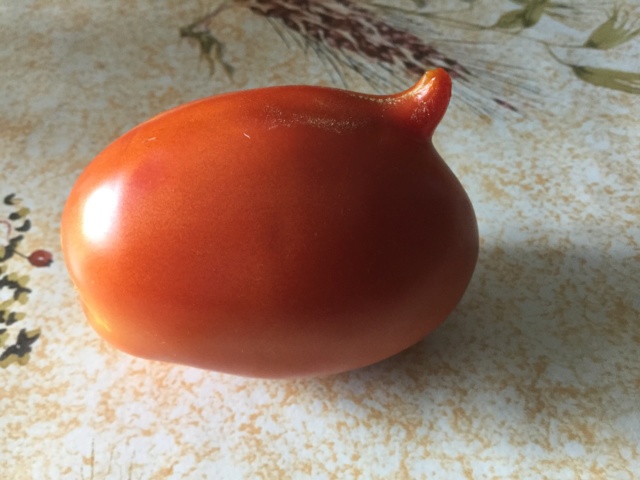 Légumes aux formes bizzares. - Page 6 61b0a710