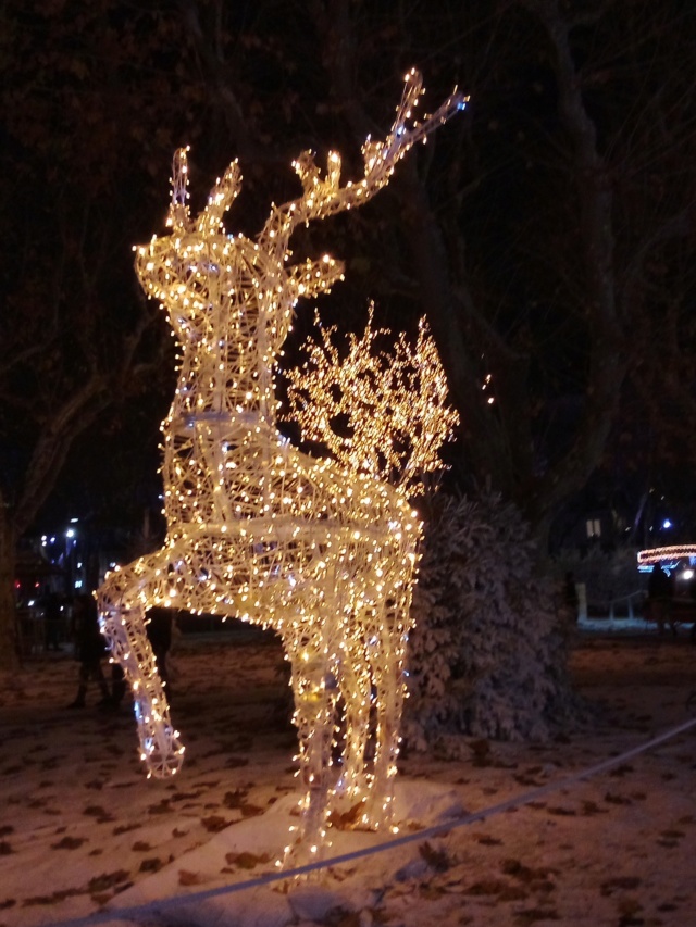 Illumination dans la ville de Béziers 34 Bbcffb10