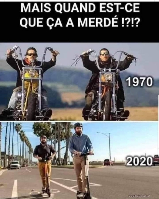 -4166915.jpg