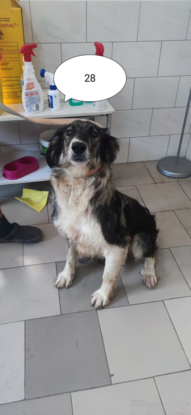 CHAINA - 6 ans - Asso Remember Me (Roumanie) 29533510