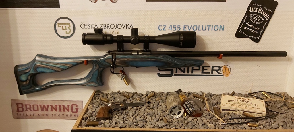 choix optique pour 22Lr Cz_45510