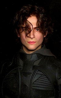 Paul Atreides [Timothée Chalamet] 50 Avatars Atreid35