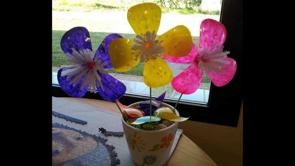 Flores con botellas de plástico en 10 minutos Maxre225