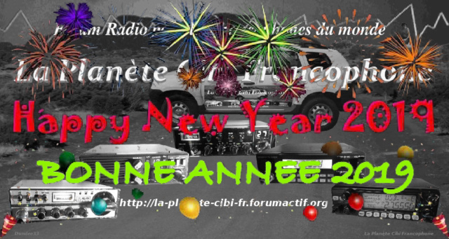 Bonne année 2019 - Meilleurs Vœux - Bonne santé à tous Bonne_14