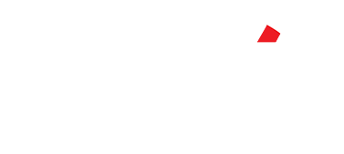 PNI (France/Roumanie) Logo-p10