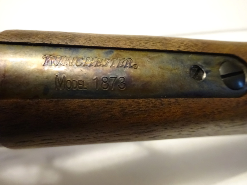 New Winchester 1873 color case hardened  Dsc00617