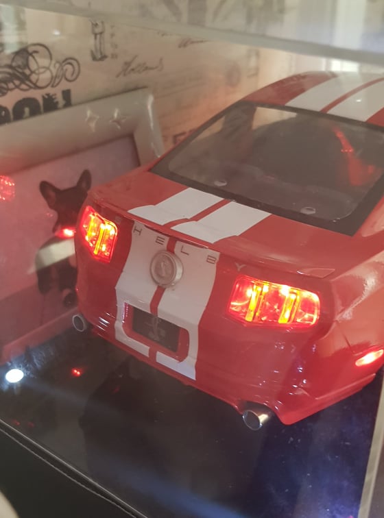 Revell Shelby GT500 mit LED, Blinker und Innenbeleuchtung 92347110