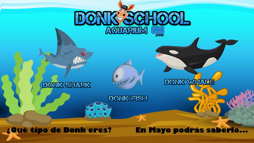 Liga Donk Shark K.O. Acuari12