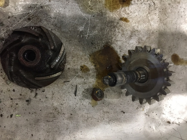 Behind the cover of a 40year old water pump Img_9312