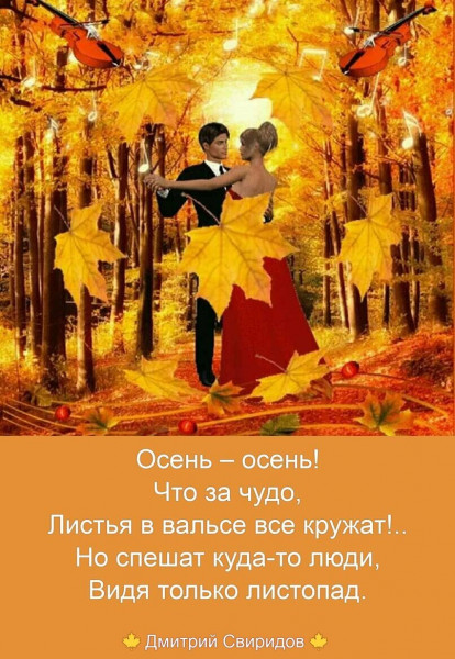 https://i.servimg.com/u/f45/19/63/27/23/16338811.jpg