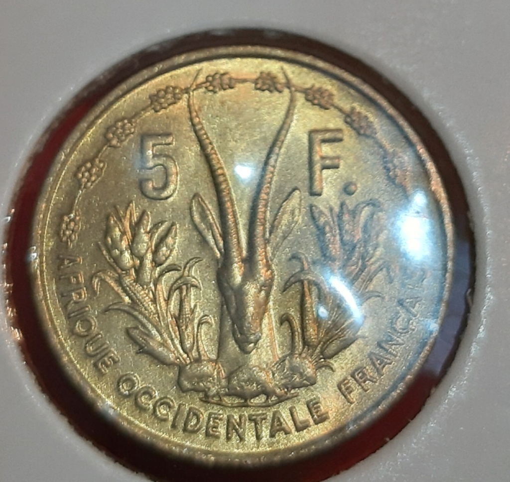 Africa- 5 Francos - Africa Occidental Francesa 1956 20190850