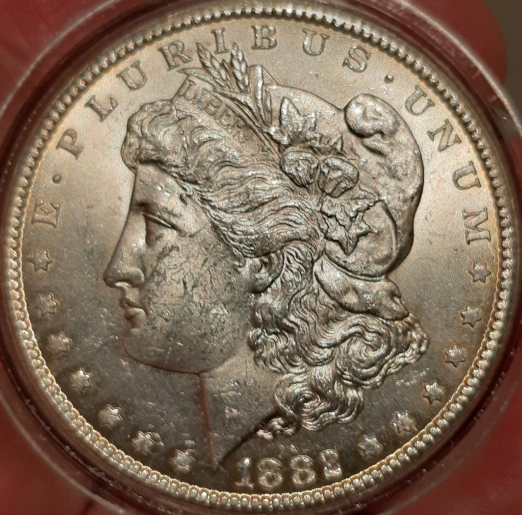 1884 y 1882 Morgan Dollar Carson City... 20210326