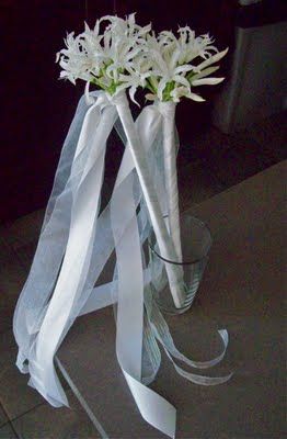 Nerine bowdenii ou Lis de Guernesey ou lys de jersey - Page 2 212f8f10