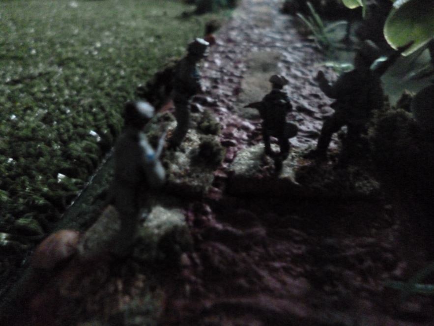 Night Ambush, Dong Tien District, 15 August 1969 Nighta10