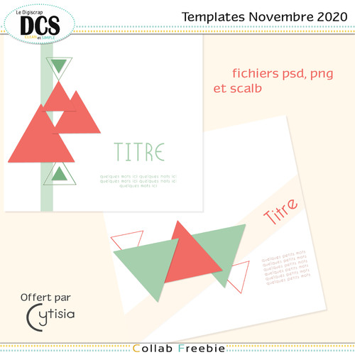 Templates triangles : novembre 2020 Sortie le 10 novembre PV OK - Page 2 Cytisi27