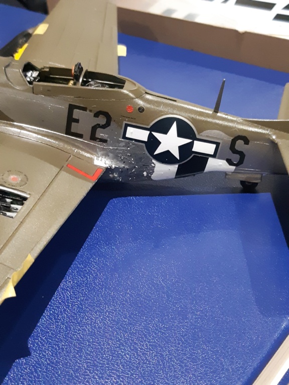 P-51 D Mustang 1/48 Monogram - Page 3 20220646