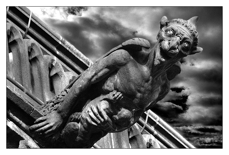 Gargouille à la Cathédrale de Clermont-Ferrand _dsc0011